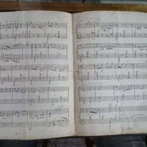 Documenti dell'archivio privato della famiglia Pellicciotti