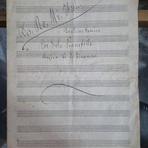 Documenti dell'archivio privato della famiglia Pellicciotti